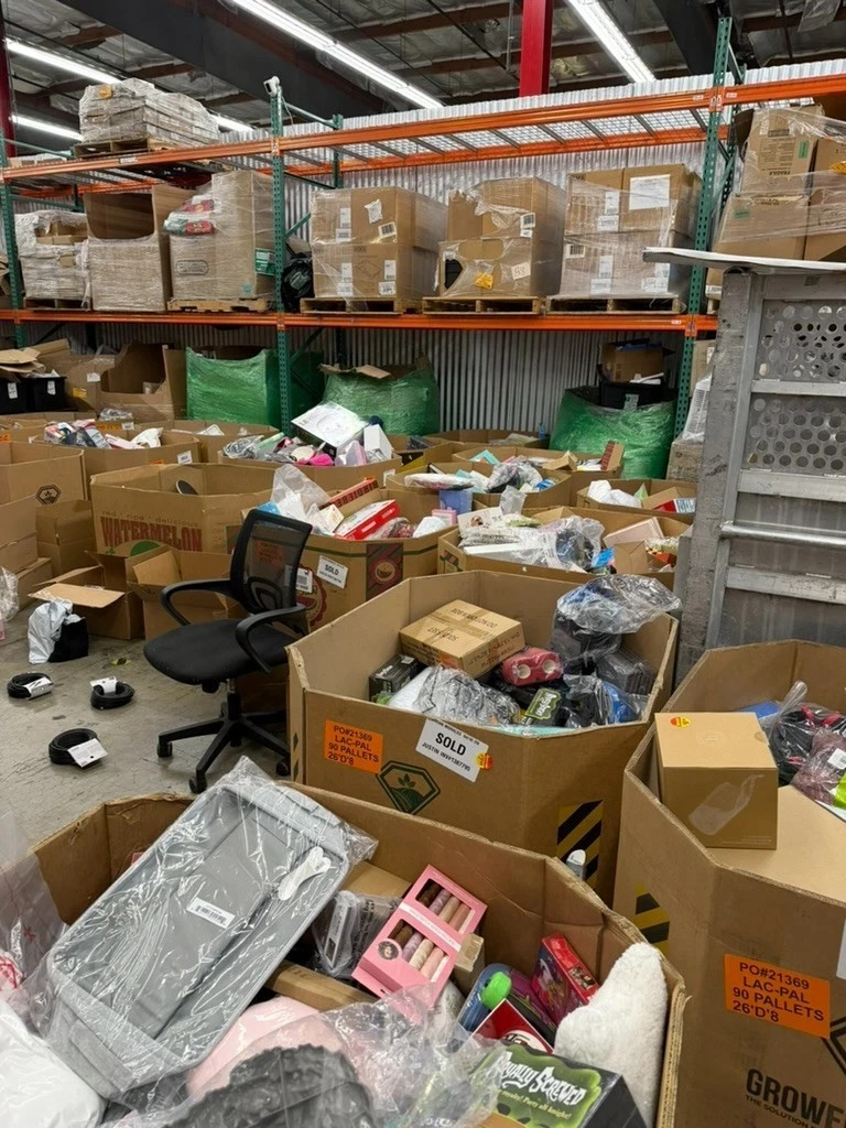 Amazon Liquidation Inventory Lot – Mixed Merchandise Selection