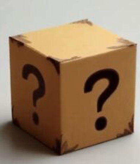 Amazon General Liquidation Mystery Box / Package BRAND NEW Unclaimed Undelivered