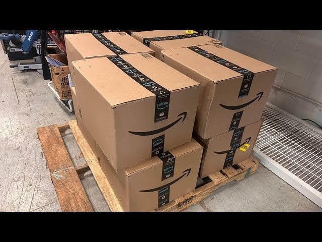 Mystery Grab Bag | Walmart Overstock – New Assorted Items