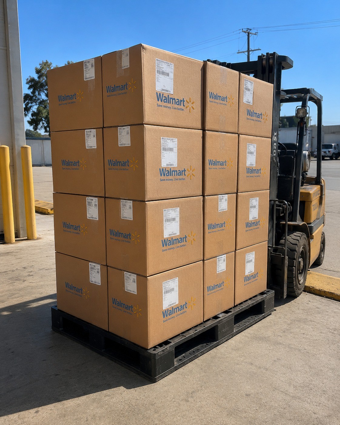 Amazon Premium Discovery Rewards Vault Filled With Hidden Warehouse Gems